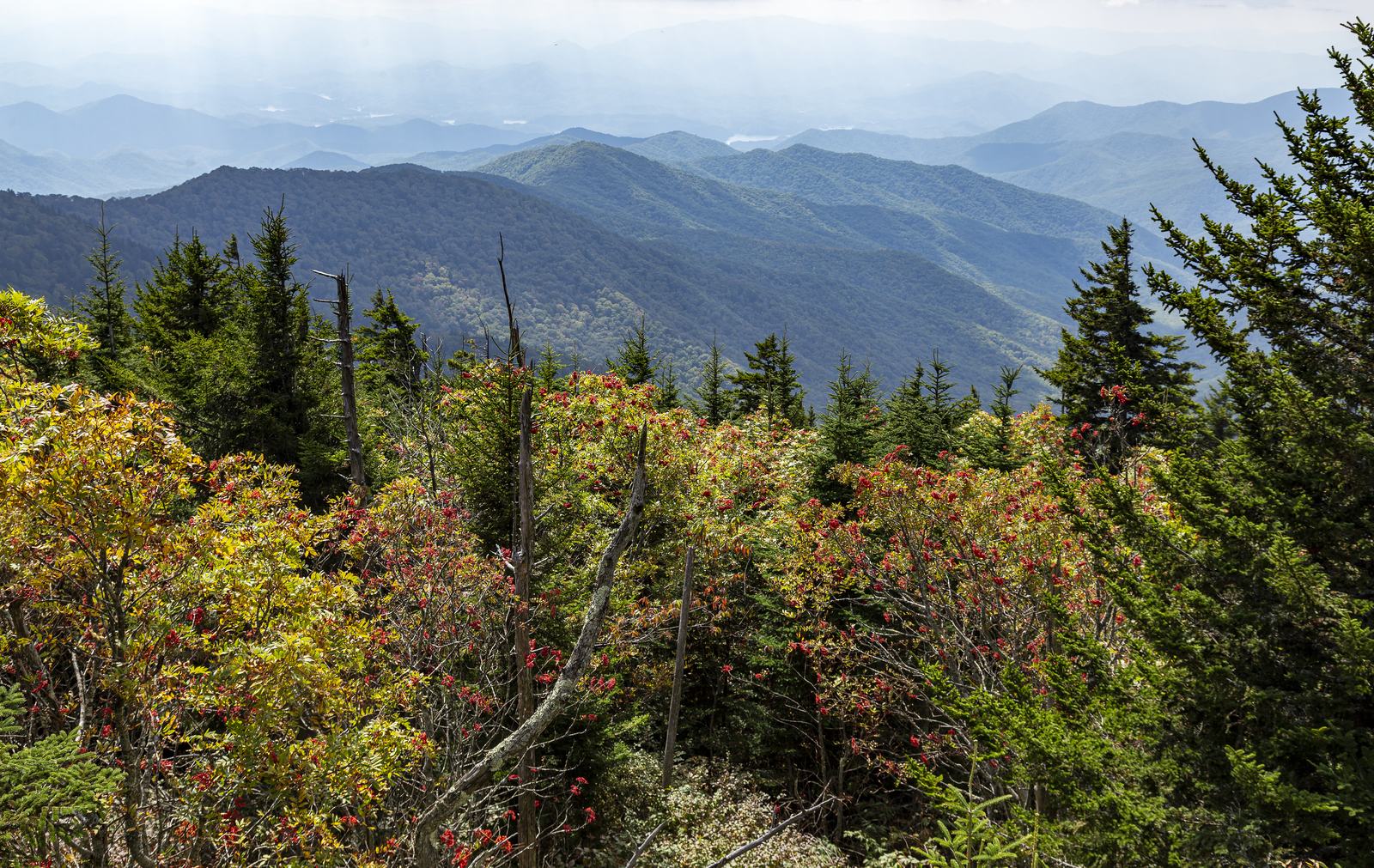 Forested ridges in morning haze, seen from Clingmans Dome in Great Smoky Mountains National Park, North Carolina. Landscape reference, not a Mountain and Lake Construction home.